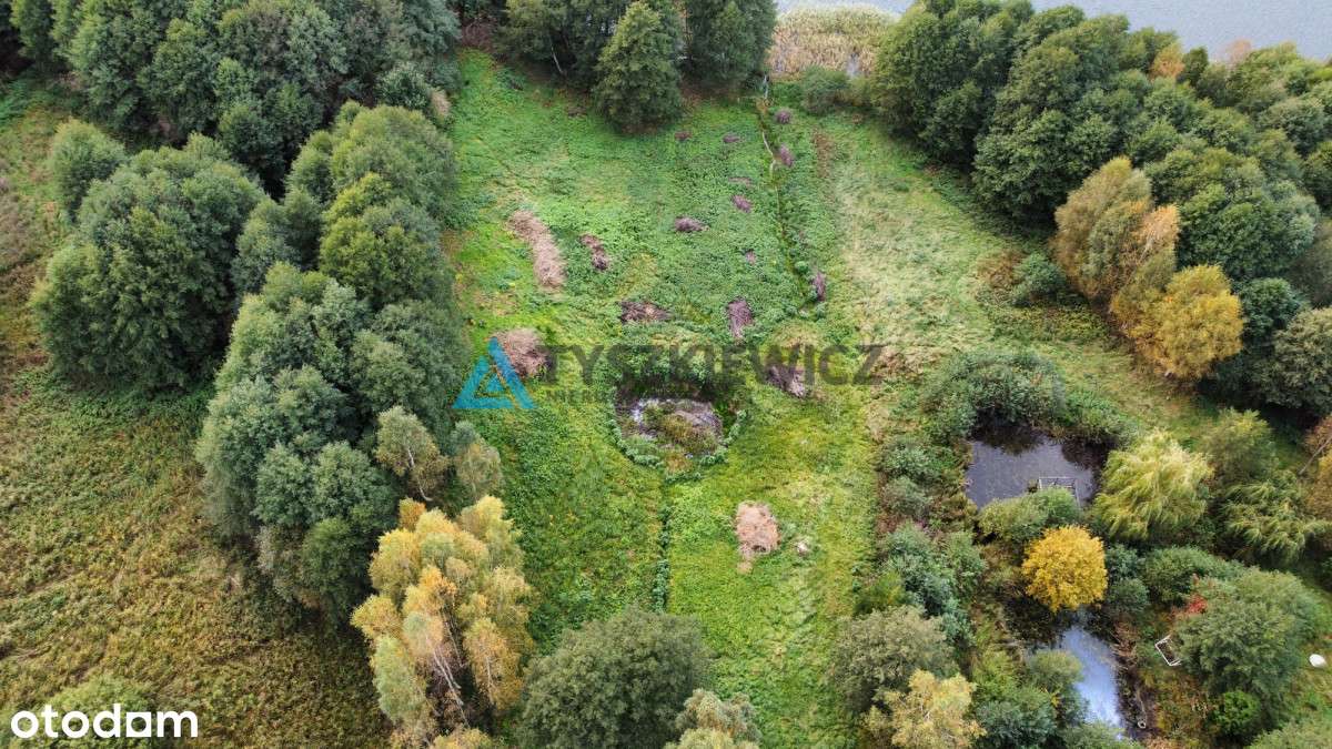 Unikalna oferta z liną brzegową jeziora. - Pełny obrazek: 5/20