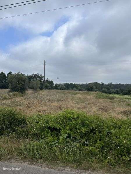 Vendo terreno urbanizavel em aguada de cima, Negociavel - Grande imagem: 5/5