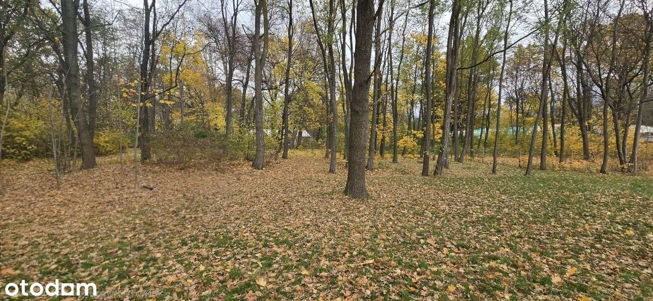 Działka w sercu Podkowy Leśnej .-2