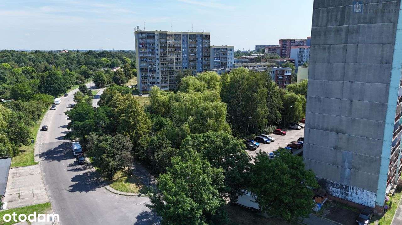 Pnb w centrum - 558 zł do m2 Pumu- 4837m2 Pumu-12