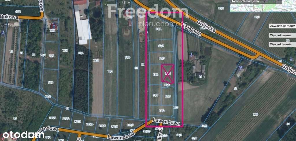 Sosnowica k/Mszczonowa - działki budowlane - Pełny obrazek: 3/4