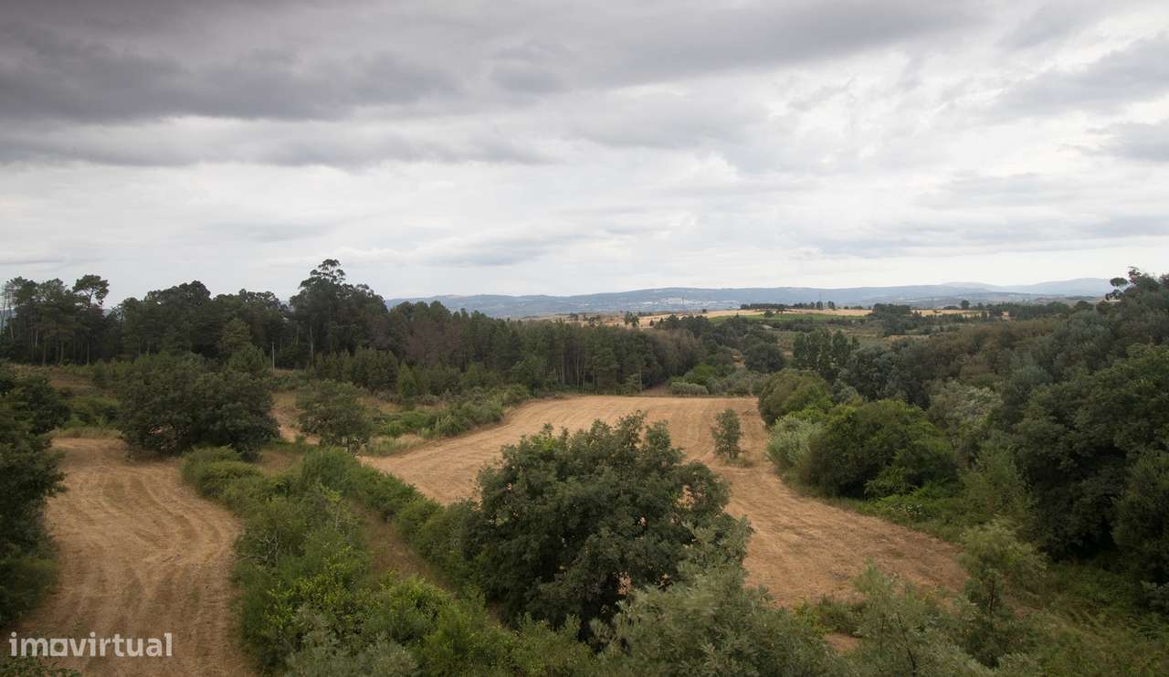 Quinta T2 Venda em Melo e Nabais,Gouveia-38