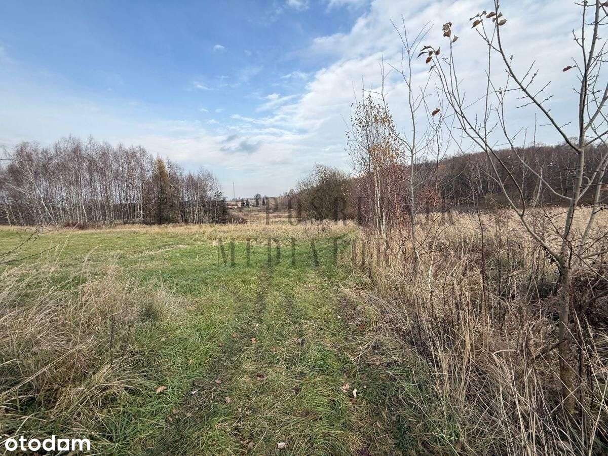 Działka rolna cena do ustalenia - Czernica-6