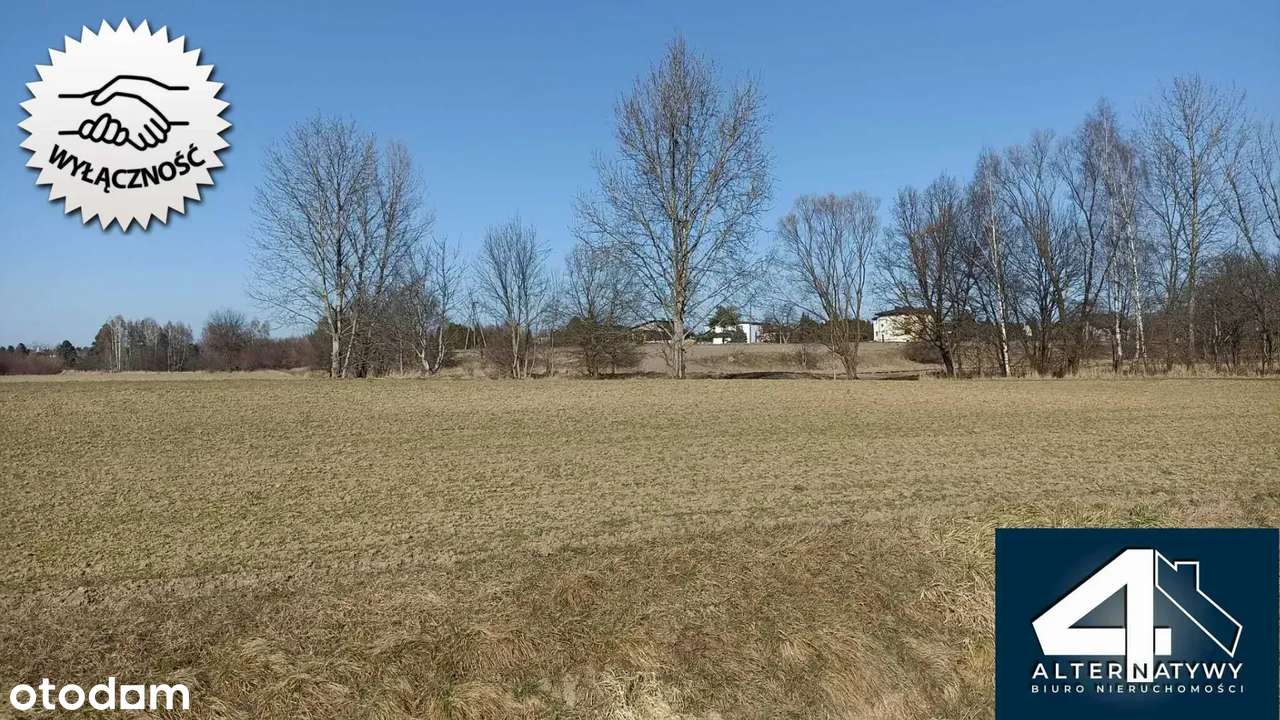 Działka rolna z alternatywą na infrastrukturę. - Pełny obrazek: 3/15