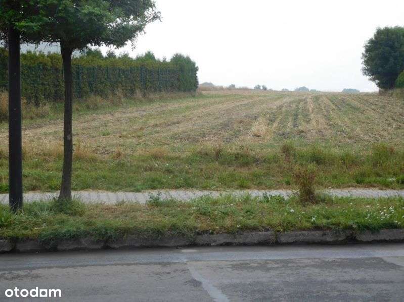 Daszyńskiego !! - Pełny obrazek: 2/3