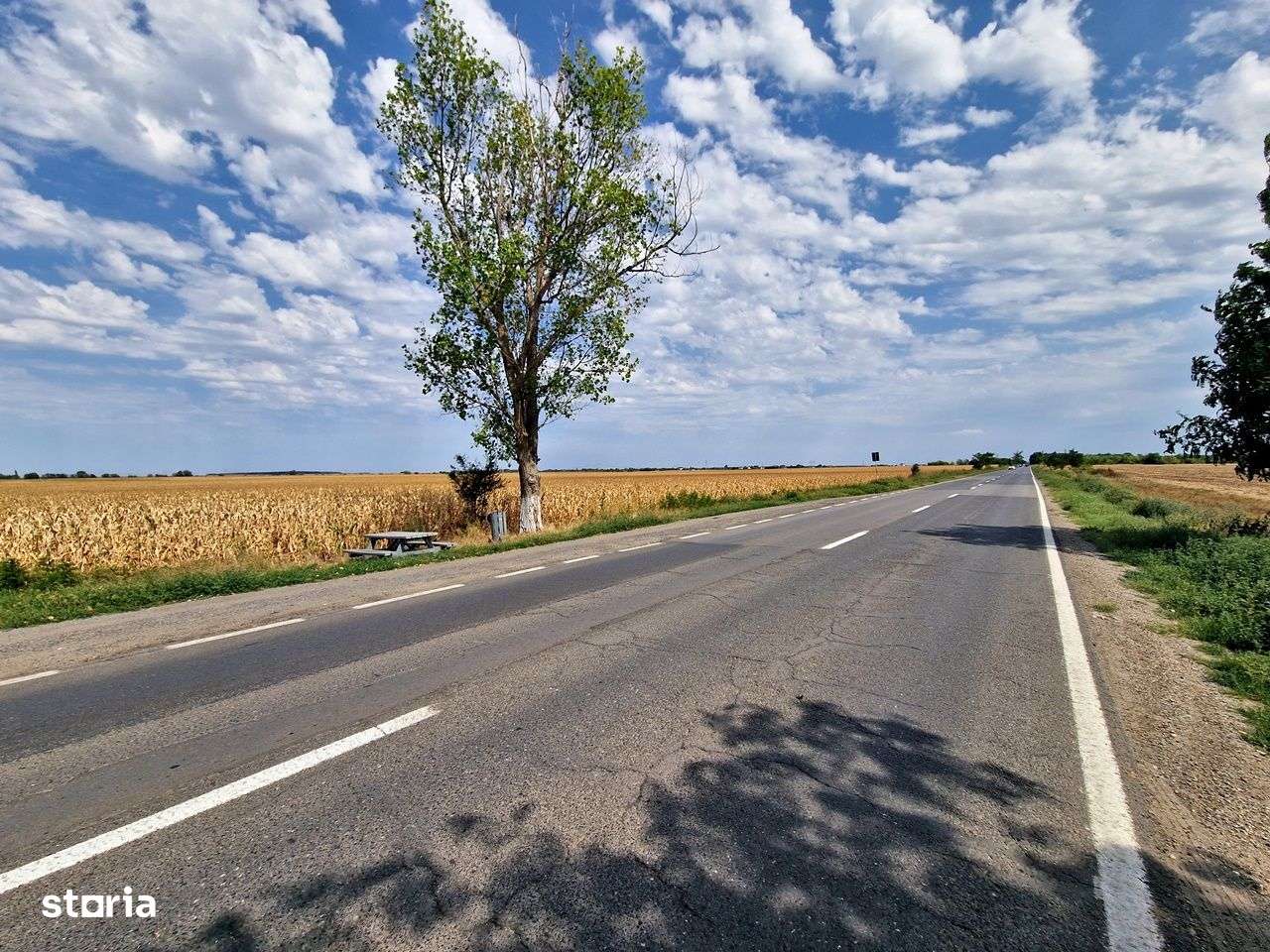 Teren intravilan- ALLEGRIA/ DN4 Glina 187500 mp - Imagine principală: 3/15