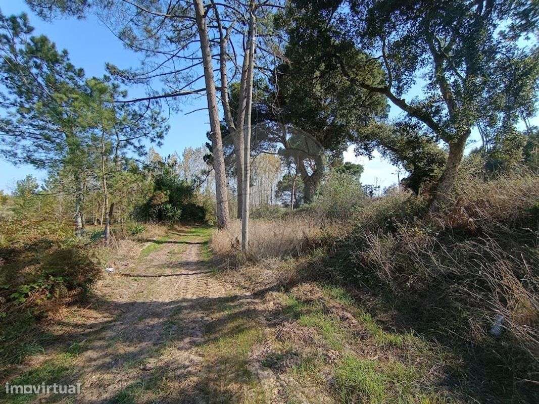 Terreno  para venda - Grande imagem: 5/10