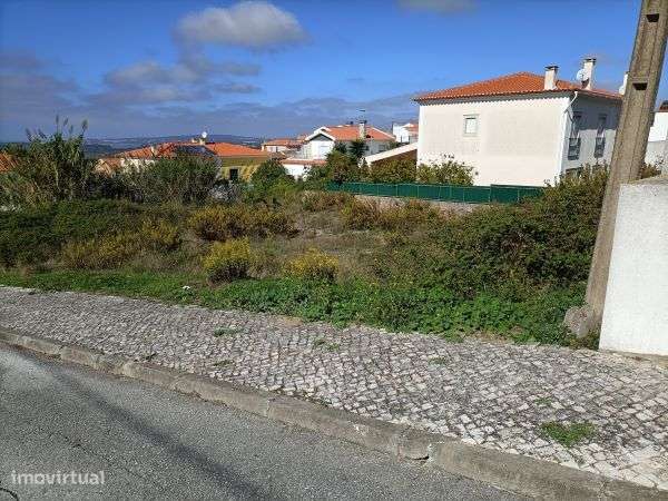 2-Lotes São Pedro do Sobral-Óbidos-Caldas da Rainha - Grande imagem: 4/11