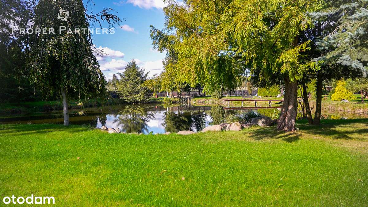 Unikatowa działka ze stawem i pięknym ogrodem✨ - Pełny obrazek: 4/12