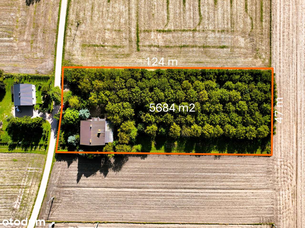 Wyjątkowa nieruchomość z potencjałem, Dom, Chruszczewo - Pełny obrazek: 4/20