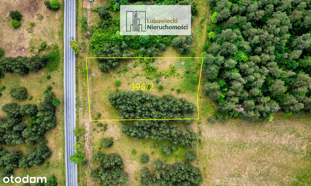 Działka z potencjałem inwestycyjnym – Pasym - Pełny obrazek: 4/15