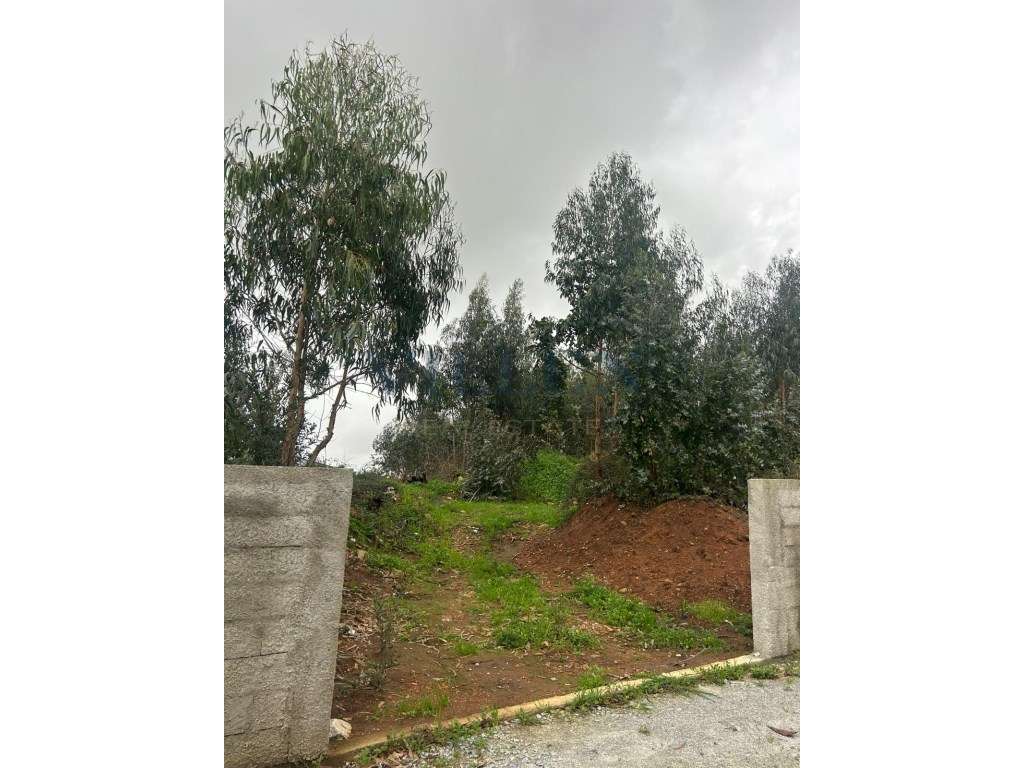 Terreno no Centro da Trofa - Grande imagem: 2/8