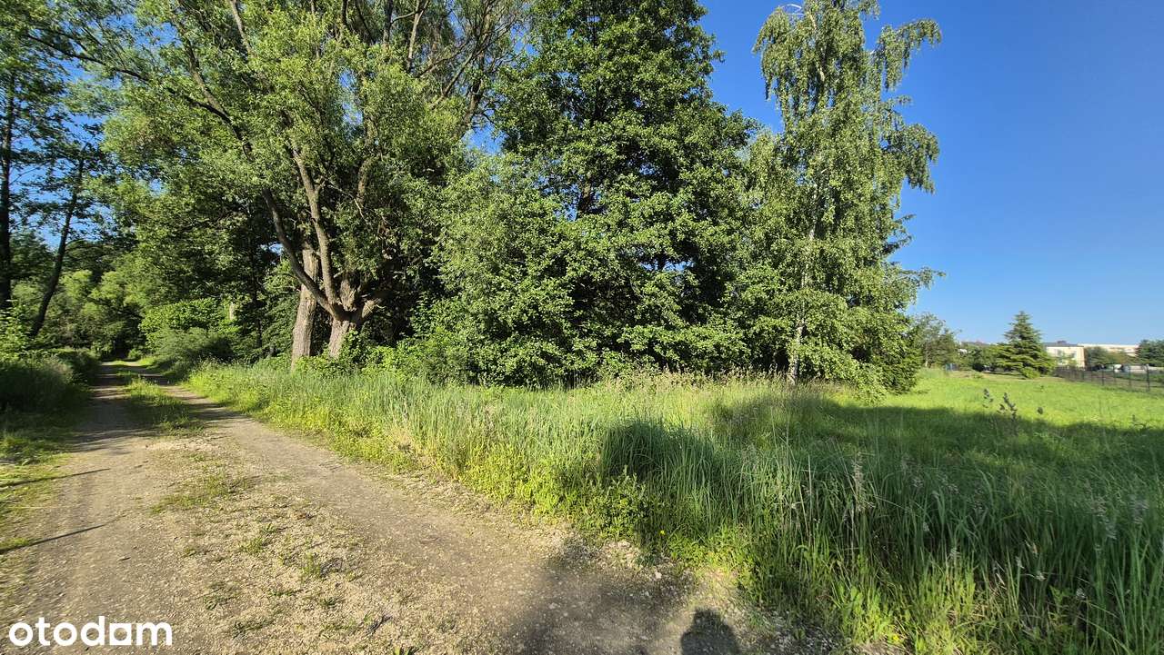 Działka Łazy 1194mkw-4
