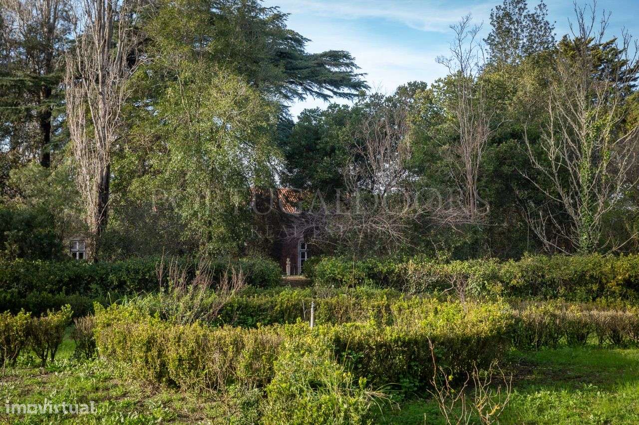 Quinta 5Ha em Azeitão-10