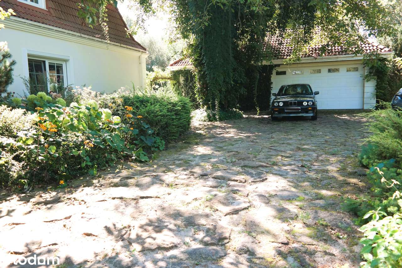 Siedlisko o powierzchni ponad 1,5 ha z wyjątkowym domem - Pełny obrazek: 5/20