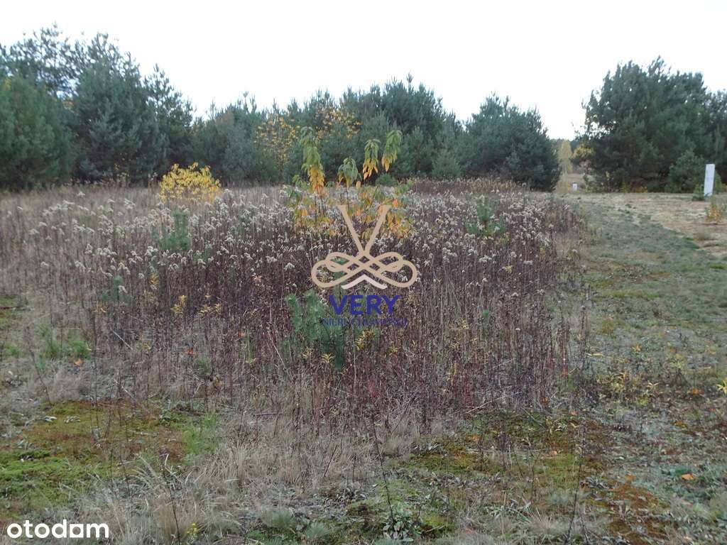 Działka budowlana - gmina Wieliszew-3