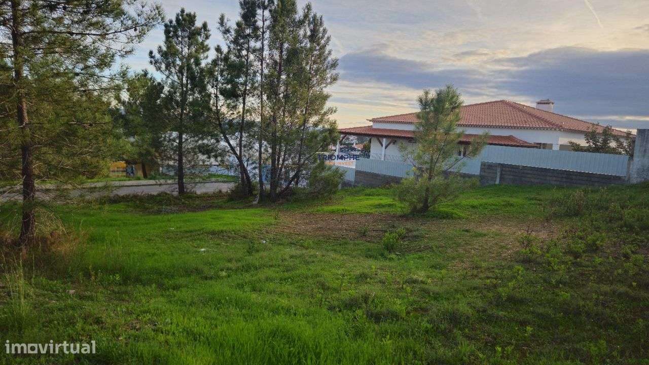 Terreno urbano Botequim, Meia Via, Torres Novas - Grande imagem: 3/8