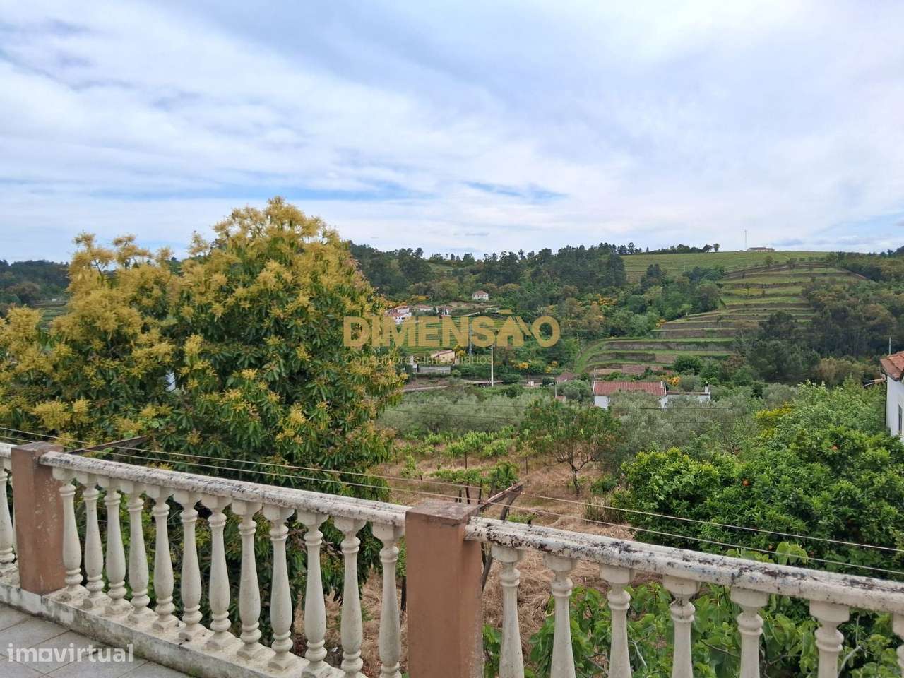 Deslumbrante Quinta V4 com Vistas Privilegiadas no Coração da Régua...-15