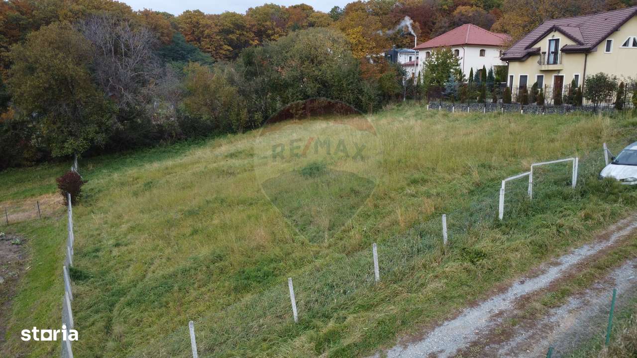 Teren de vanzare în Faget 1542 mp cu panorama-12