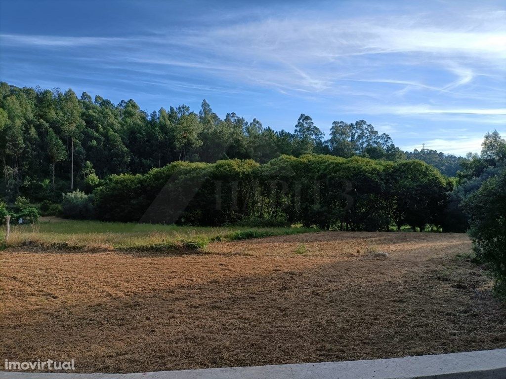 Terreno agrícola em Fornelos