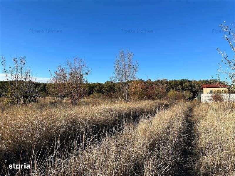 Teren intravilan 1170 mp Corbeanca Padurea Tamasi-1