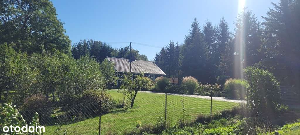 Siedlisko z uroczym domem, Sewerynów, gm. Cyców-5