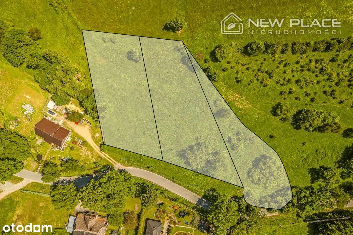 Nowa cena, Mpzp, Łężyce Duszniki-Zdrój-10