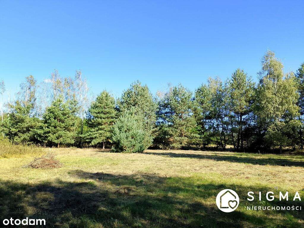 Piękna działka MPZP media Radziejowice-1