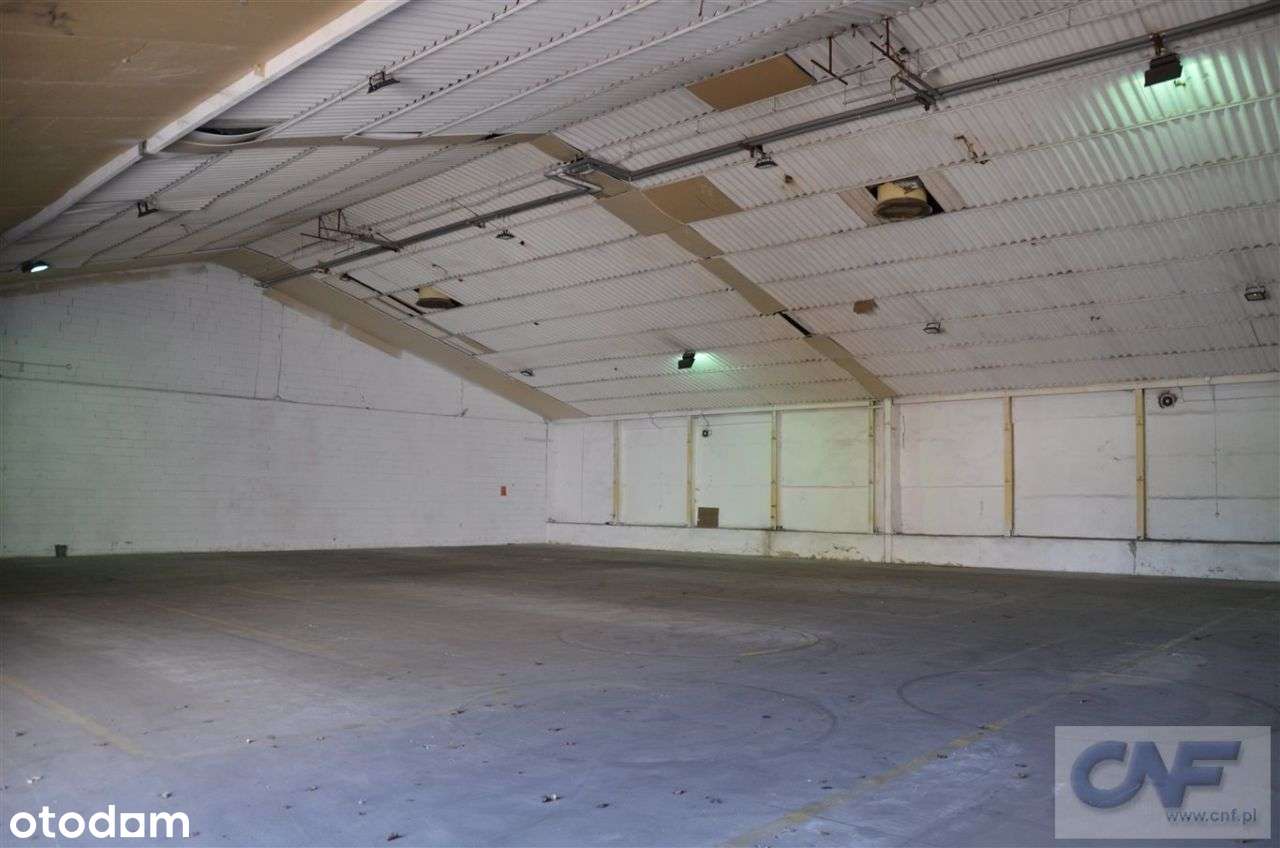 Sosnowiec, Hala do wynajęcia 425m2 - Pełny obrazek: 5/15