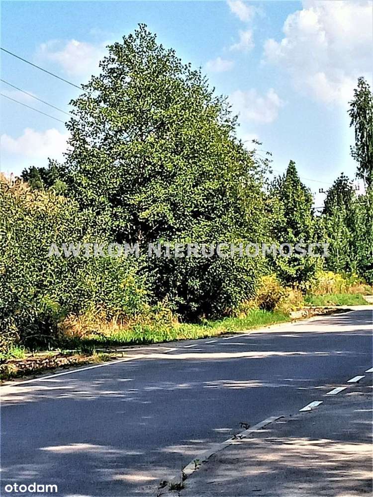 Działka, 4 000 m², Książenice - Pełny obrazek: 5/5