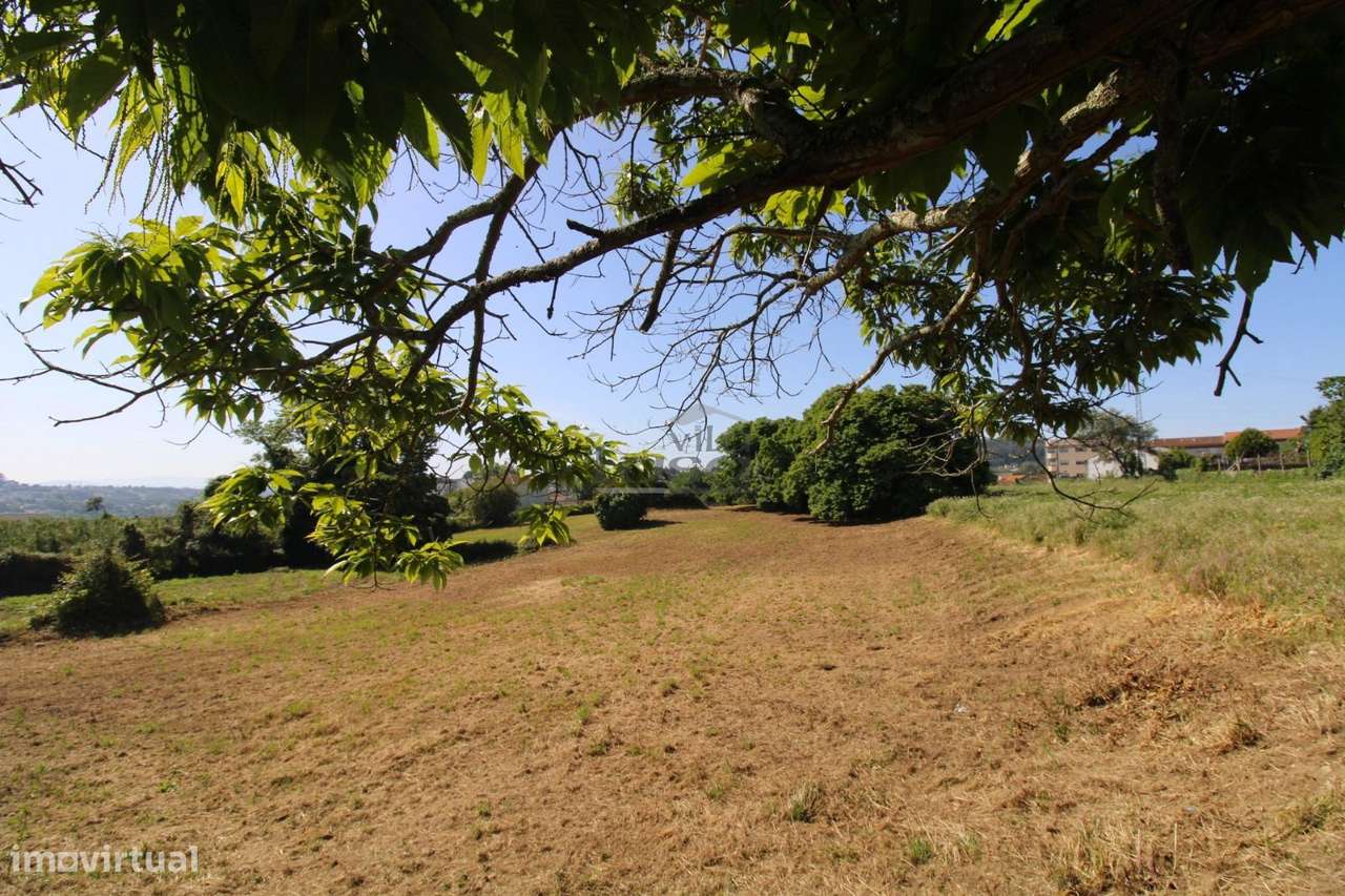 Terreno com 7.813 m² no Centro de Oliveira do Douro | Vila Nova de ...-1