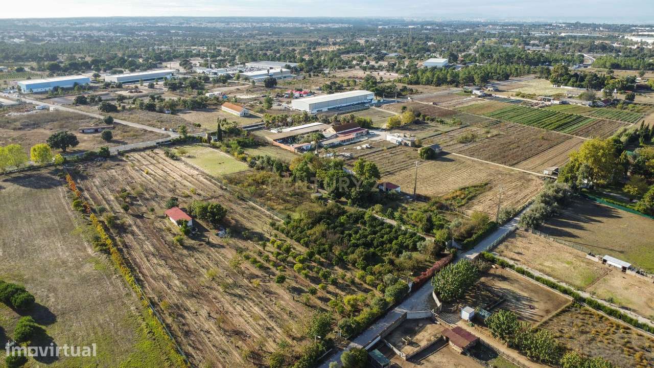 Terreno Rústico em Quinta do Anjo, Palmela - 11.800m2-13