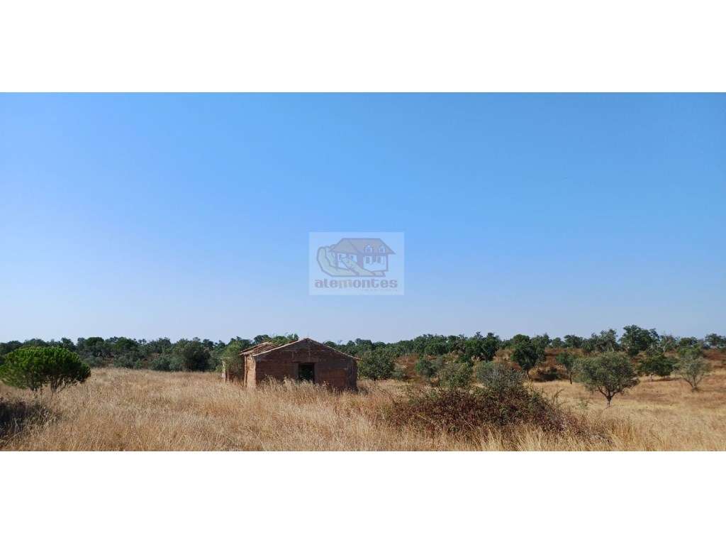 Monte Alentejano com várias ruínas para recuperar - 20 minutos Lago...-15