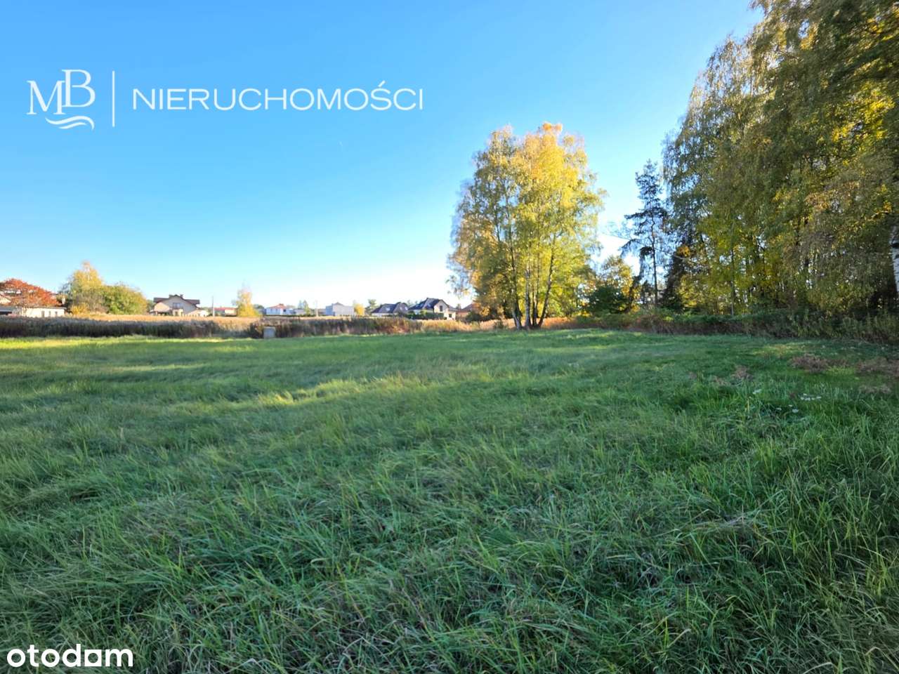 Imponująca powierzchnia w dobrej lokalizacji-0