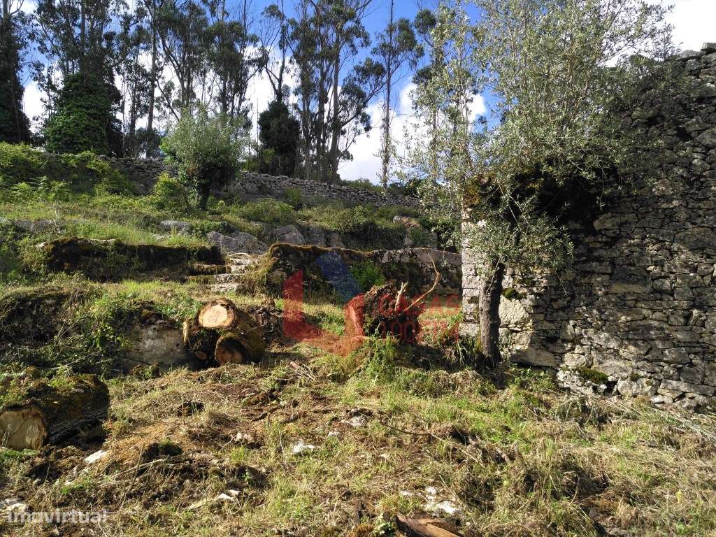 Moradia terrea em pedra por recuperar na serra em Porto de Mós. - Grande imagem: 4/24