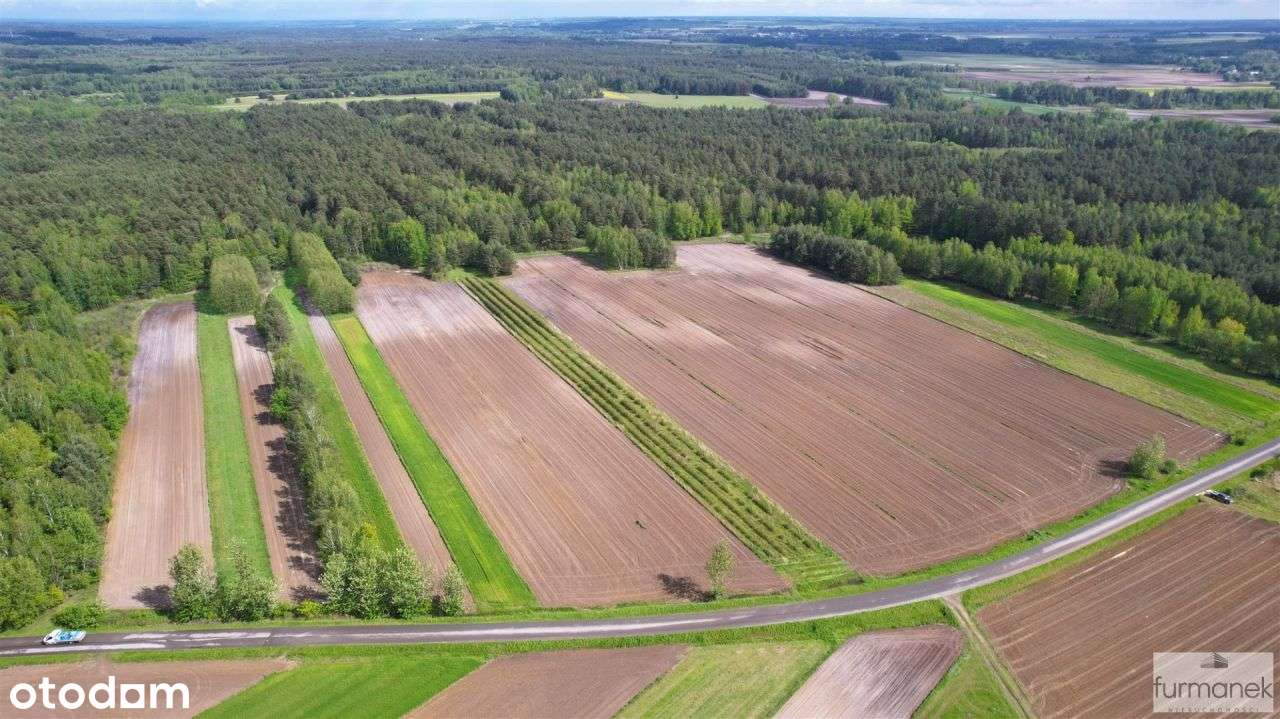 Działki rolno - leśne w gminie Księżpol - Pełny obrazek: 4/20