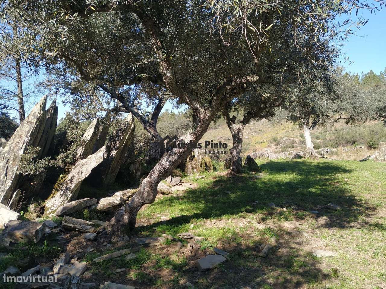 Terreno em Benquerenças-8