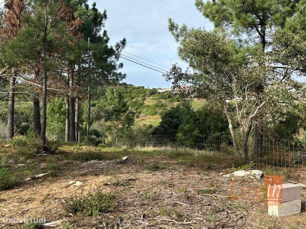 Terreno para Construção com 1.900 m² em Mafra - Grande imagem: 2/14