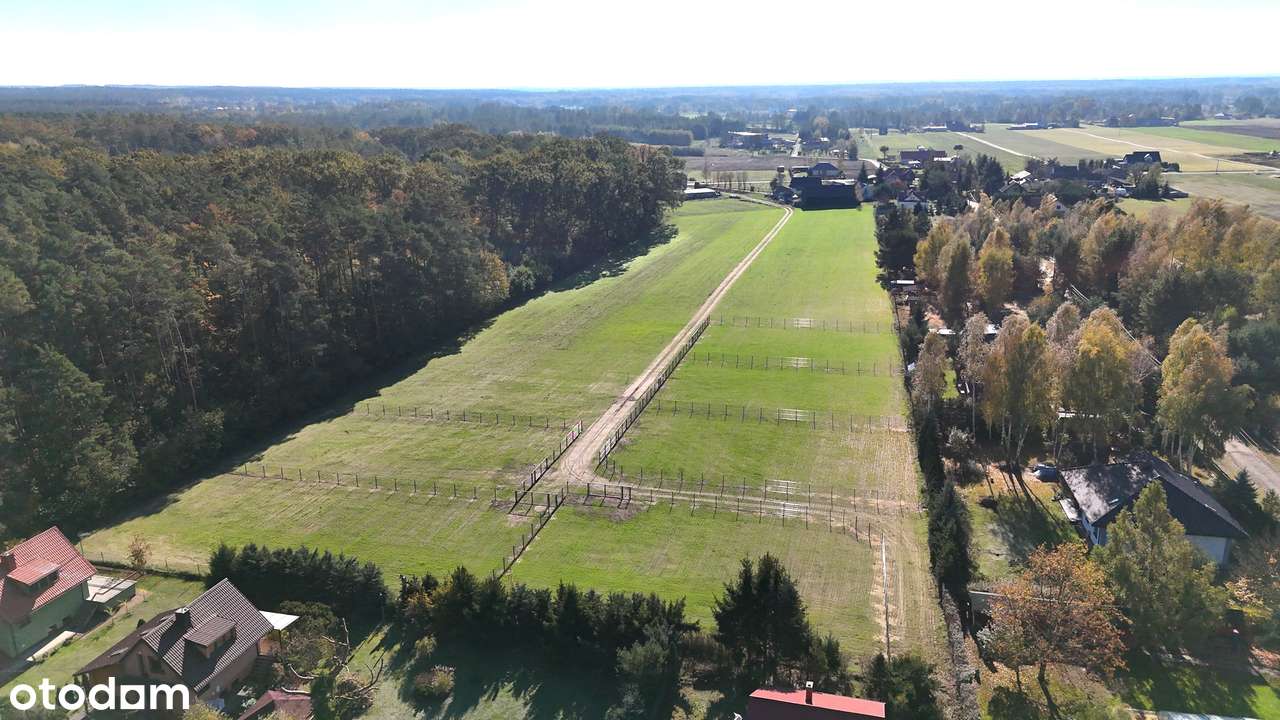 Działki przy jeziorze Lucieńskim i lesie państwowym-1