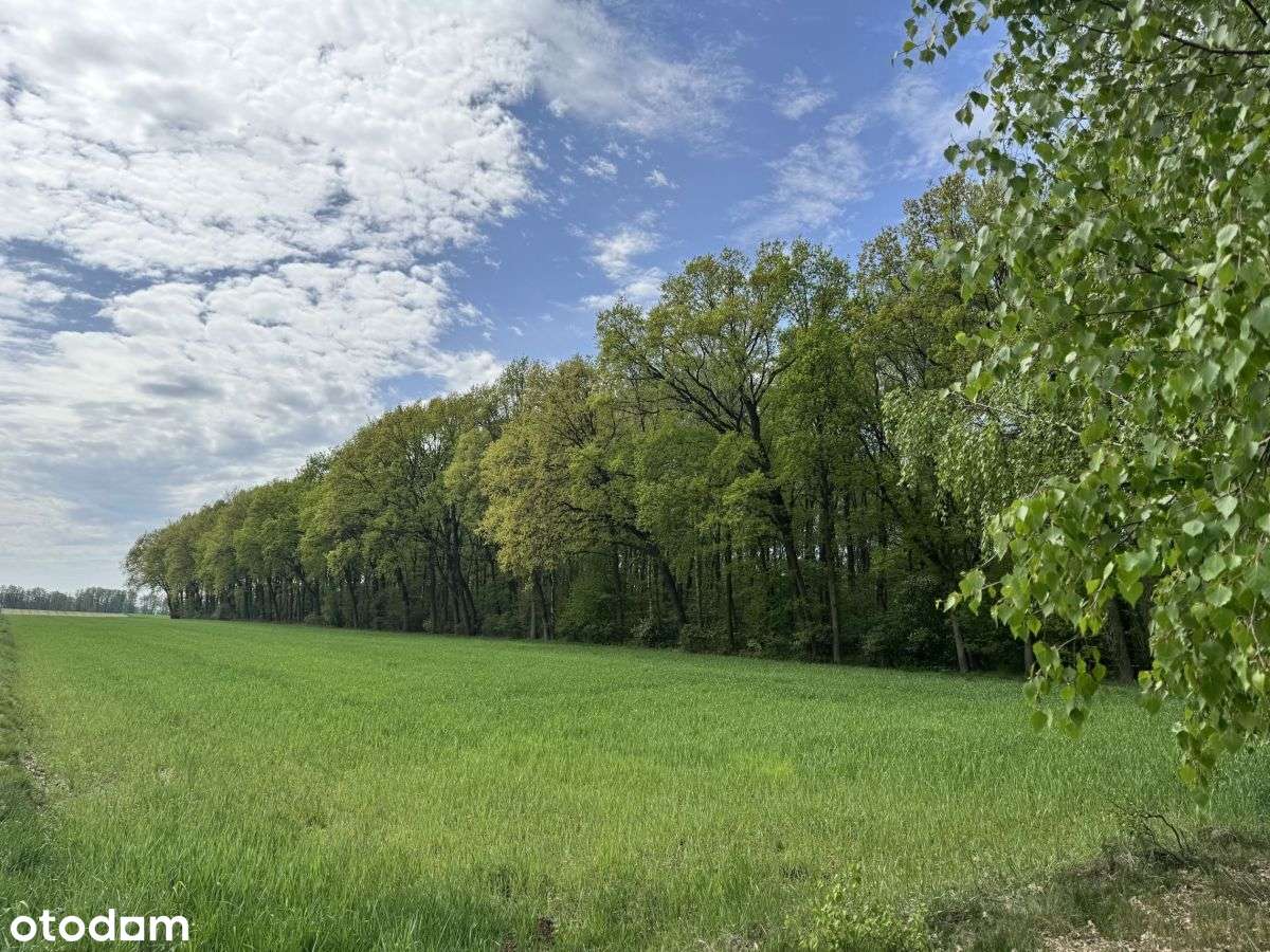 Działka, 1 041 m², Wola Pasikońska-1