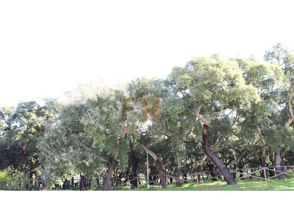 Apartamento T2 com Terraço! Urbanização Portais Arrábida, Palmela - Grande imagem: 4/39