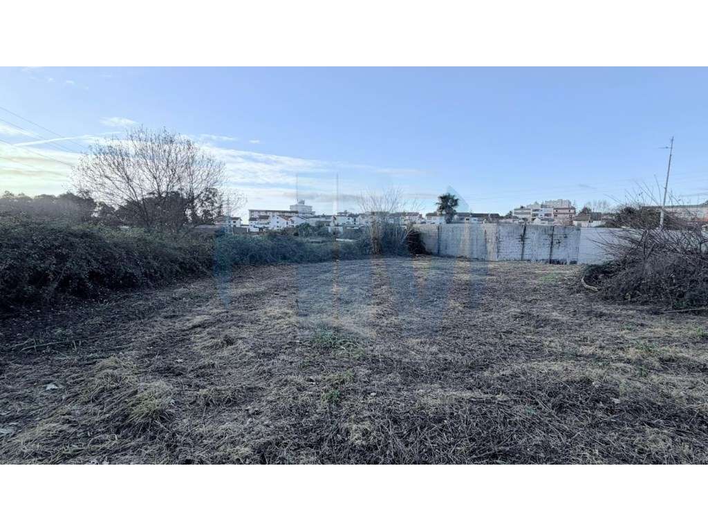 Moradia Térrea T3 para Renovação com Terreno urbano de 3.000 m² - F...-10