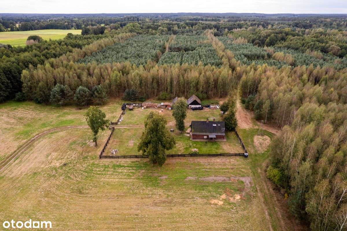 Siedlisko w m. Boruja Nowa-11