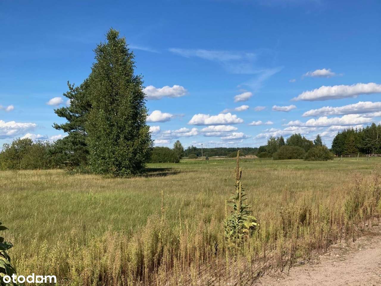 Działka na sprzedaż, Rybaki - Pełny obrazek: 4/7