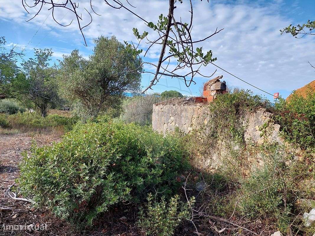 Terreno  para venda - Grande imagem: 3/18