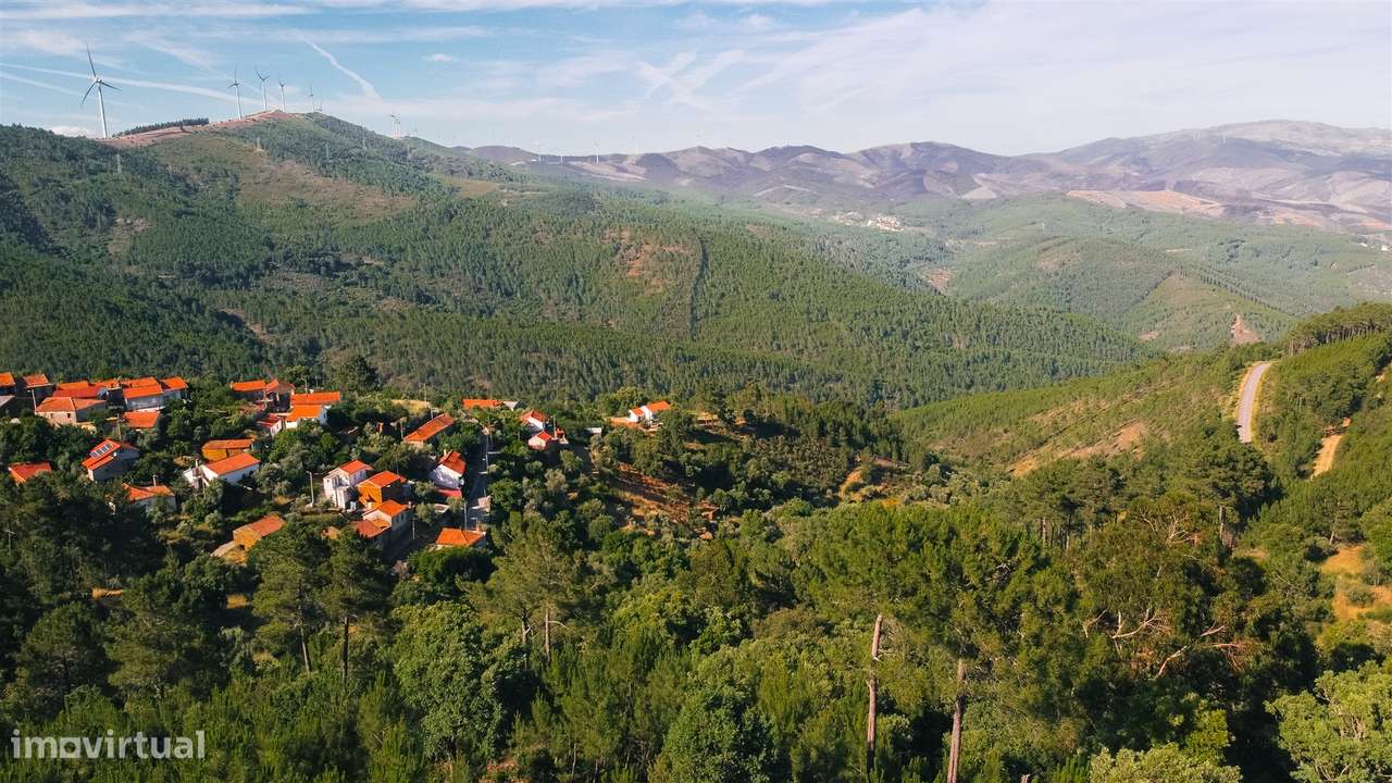 Terreno Rústico  Venda em Almaceda,Castelo Branco-10