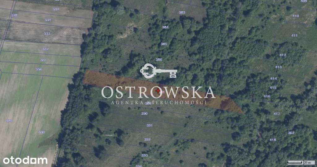 Działki rolne oraz działka leśna na sprzedaż - Pełny obrazek: 4/8