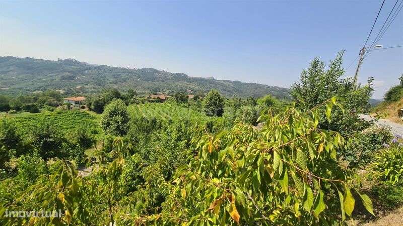 Terreno / Marco de Canaveses, Folhada - Grande imagem: 5/16