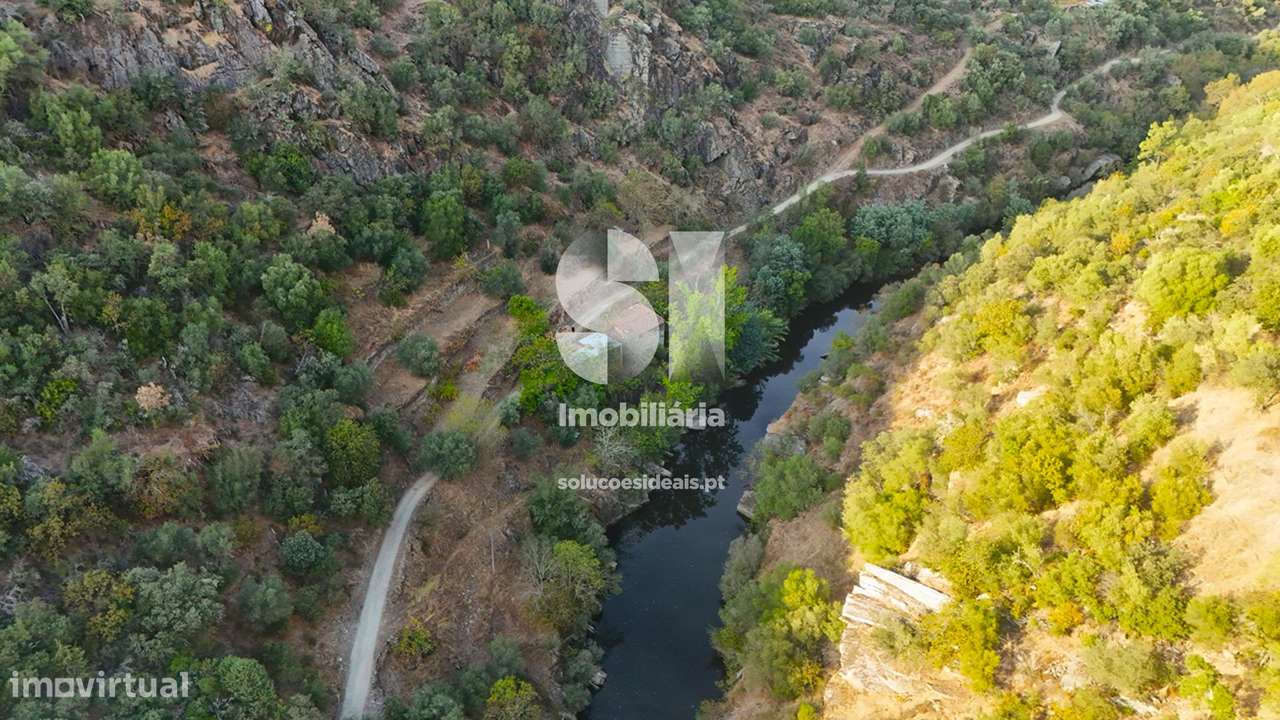 Propriedade no Douro - Grande imagem: 5/23