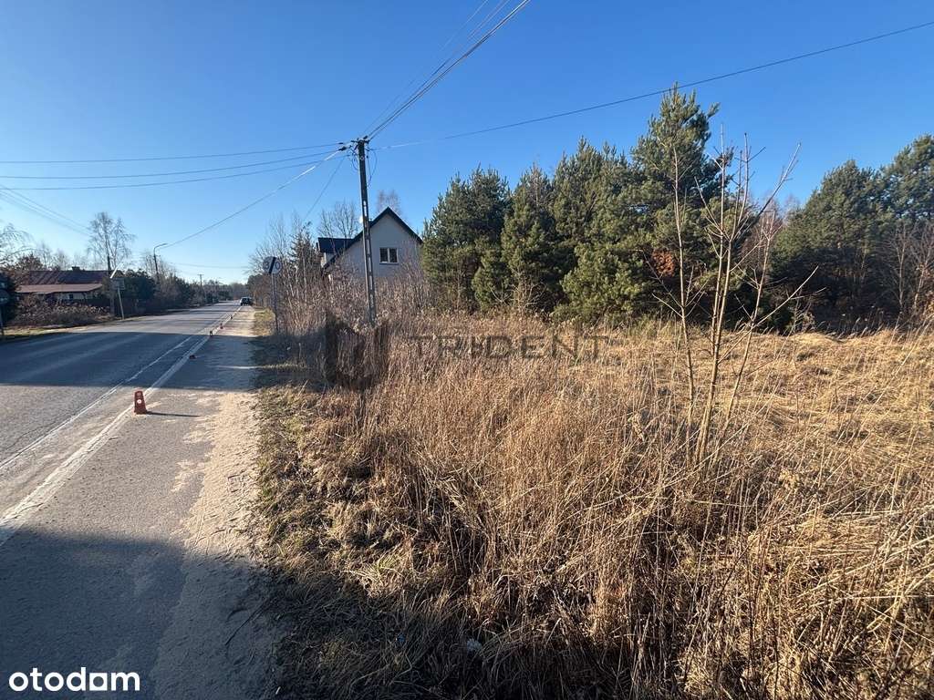 Działka 9500m2 z możliwością podziału! - Biały Ług - Pełny obrazek: 5/8